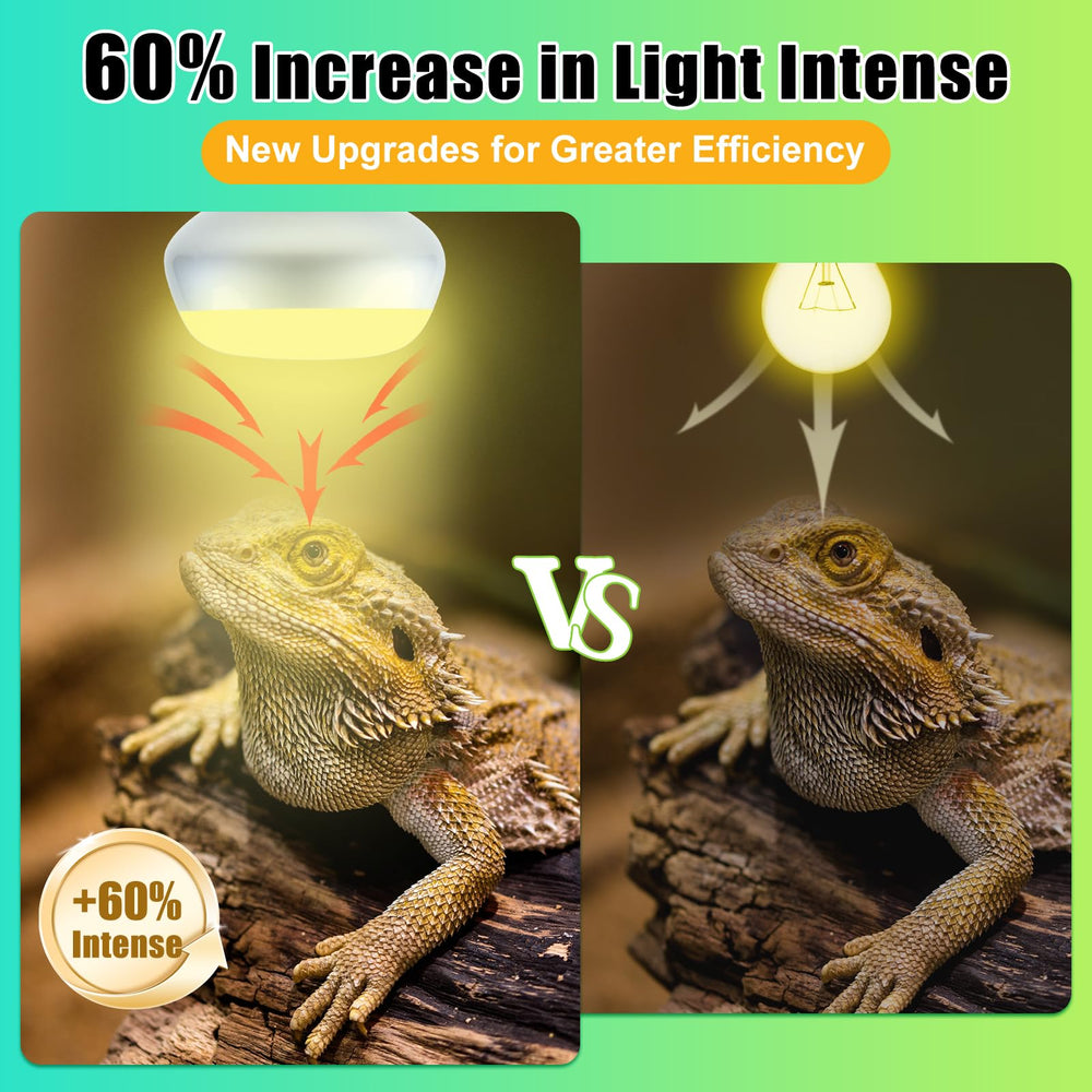 REPTI HOME flat-bottom basking-lamp design concentrates light for quicker terrarium warming.