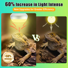 REPTI HOME flat-bottom basking-lamp design concentrates light for quicker terrarium warming.