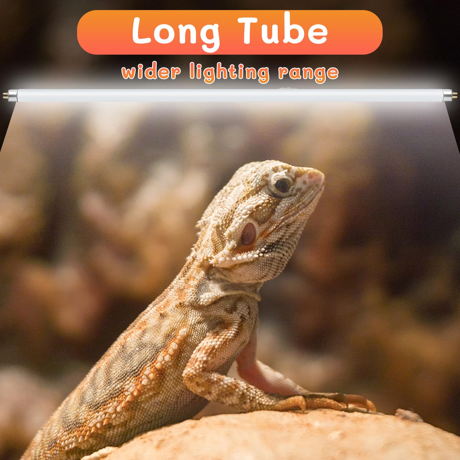 REPTI HOME reptile light kit ready for use in T5 fixtures