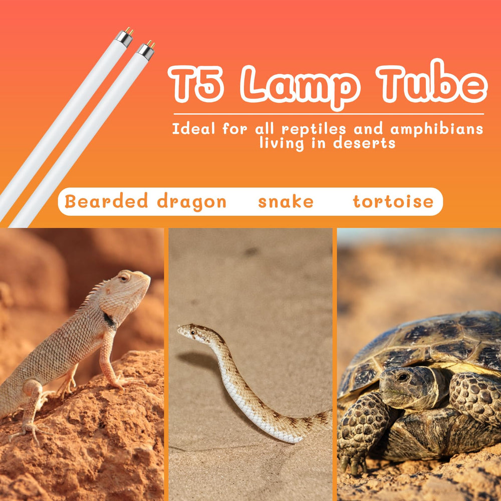 REPTI HOME light suitable for reptiles and amphibians across habitats