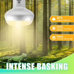 REPTI HOME UVA-heat-light for reptiles provides UV and warmth to support natural behavior.