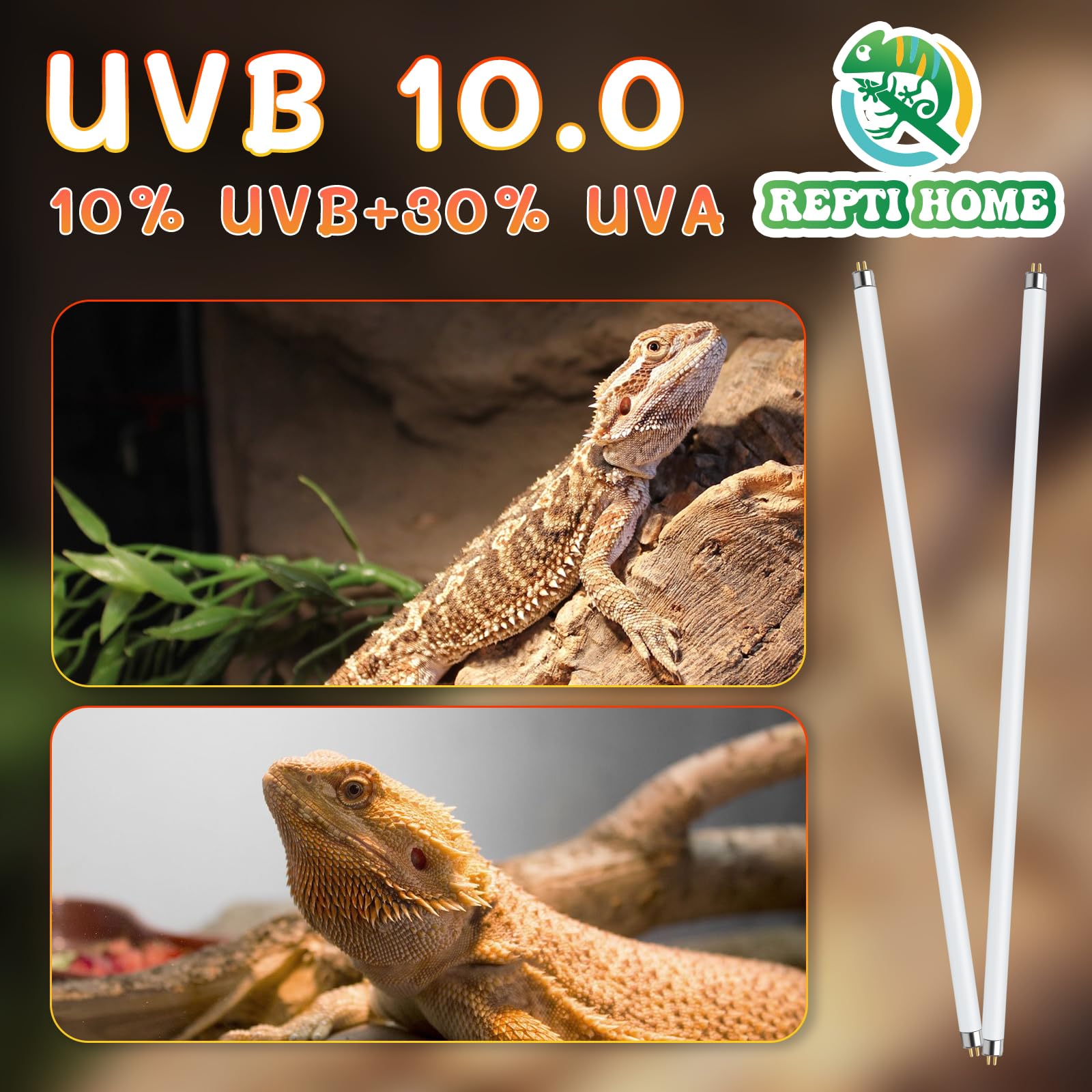 REPTI HOME UVB light delivers stable 10% UVB and 30% UVA output