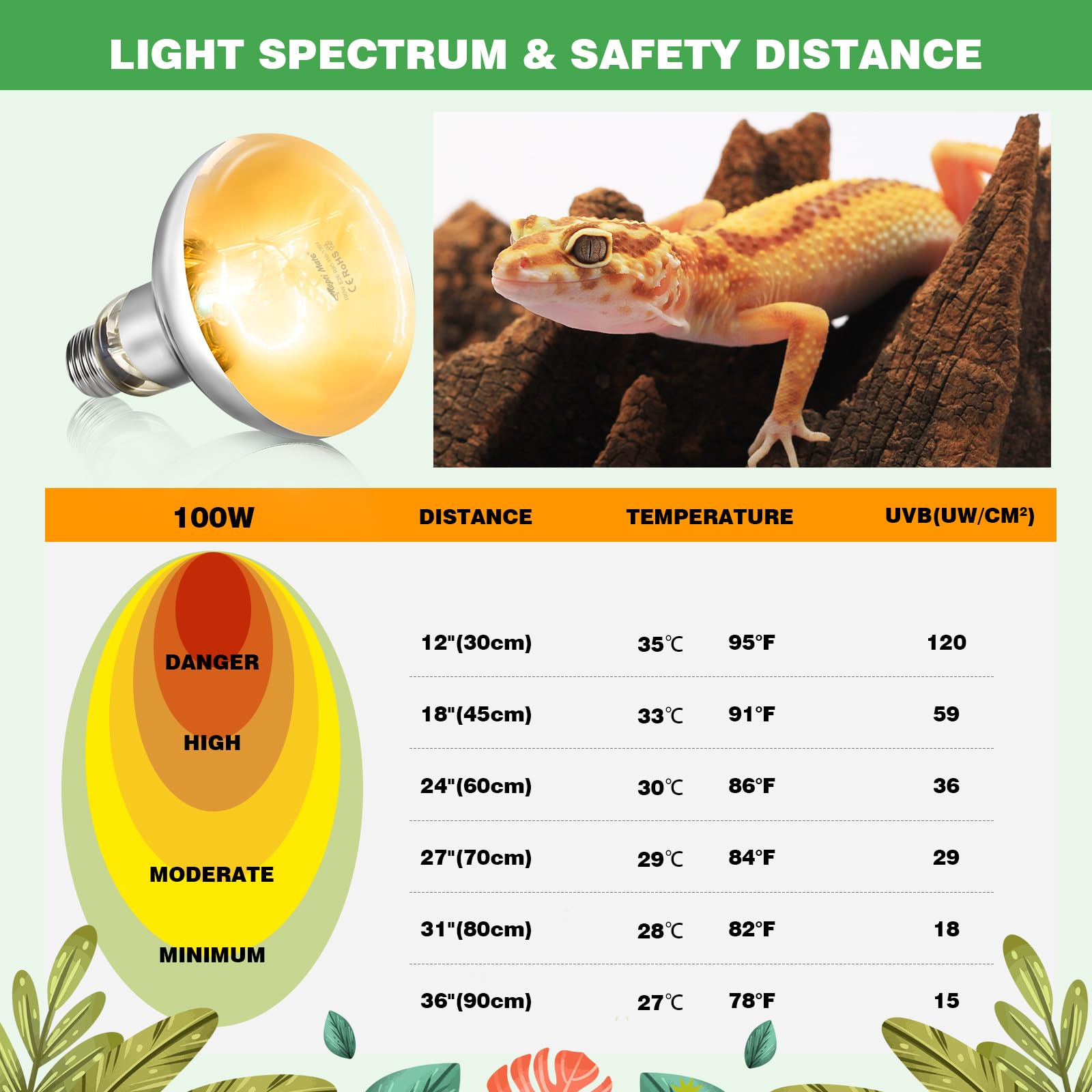 REPTI MATE bearded dragon setup uses UVB light for daytime warmth