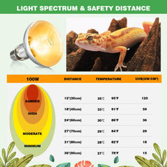REPTI MATE bearded dragon setup uses UVB light for daytime warmth