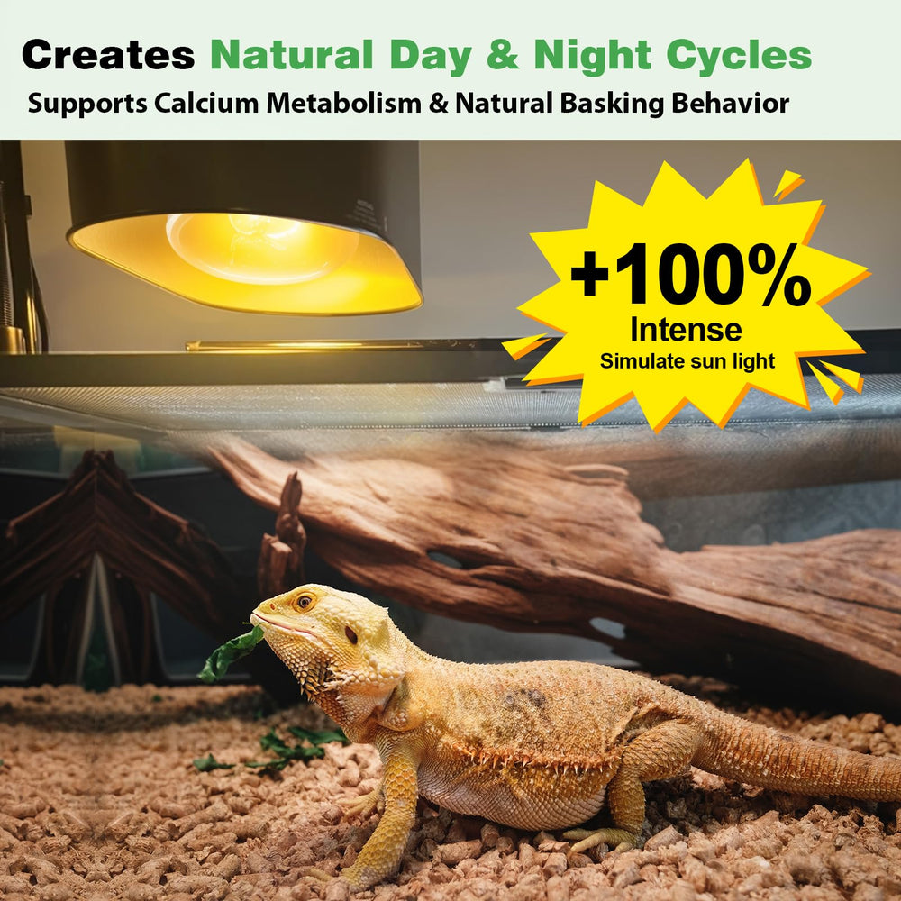 REPTI MATE self-ballasted UVB bulb ready to install in terrariums