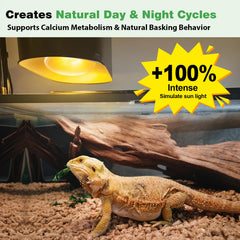 REPTI MATE self-ballasted UVB bulb ready to install in terrariums
