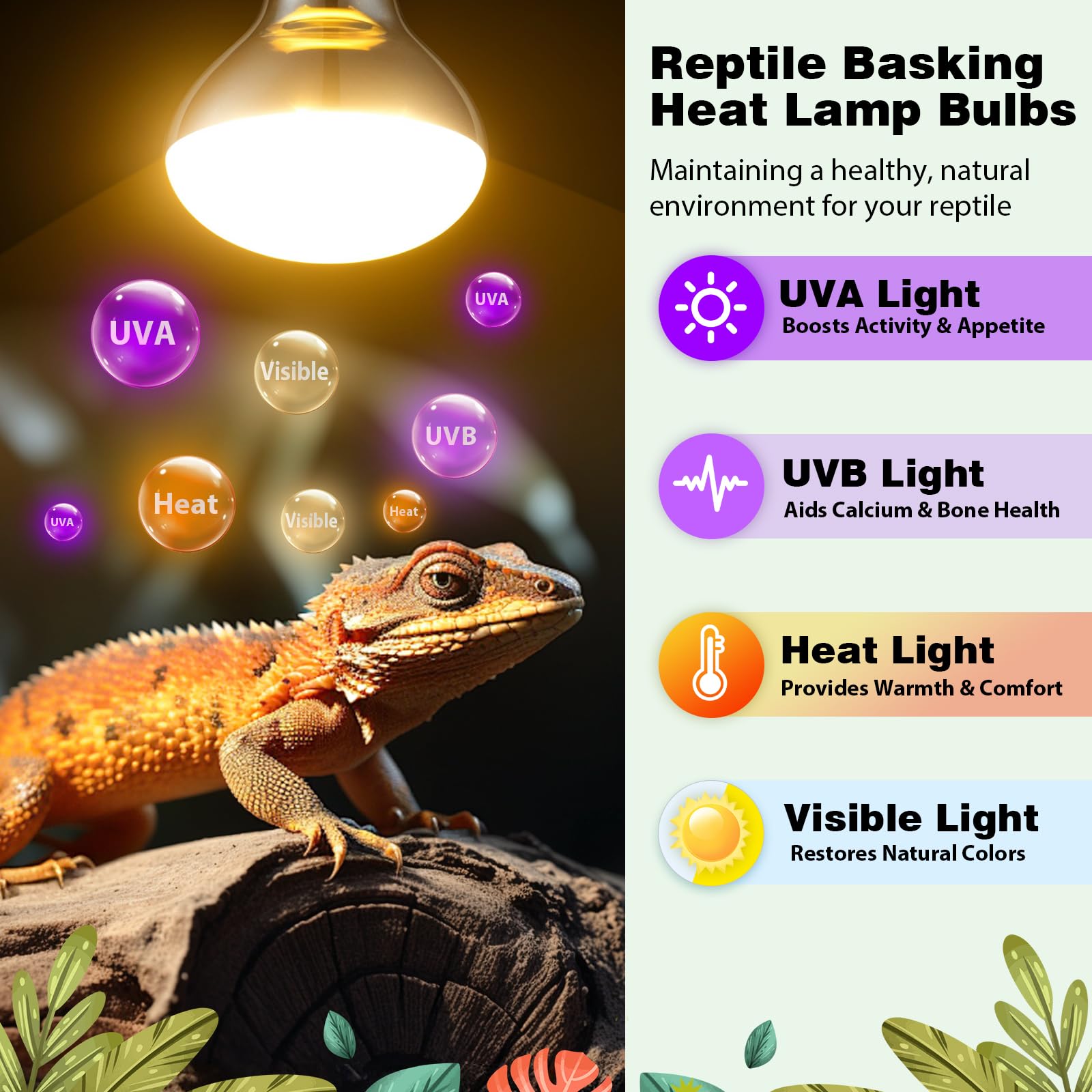 REPTI MATE UVB-UVA full-spectrum light supports sun-like exposure for daily activity