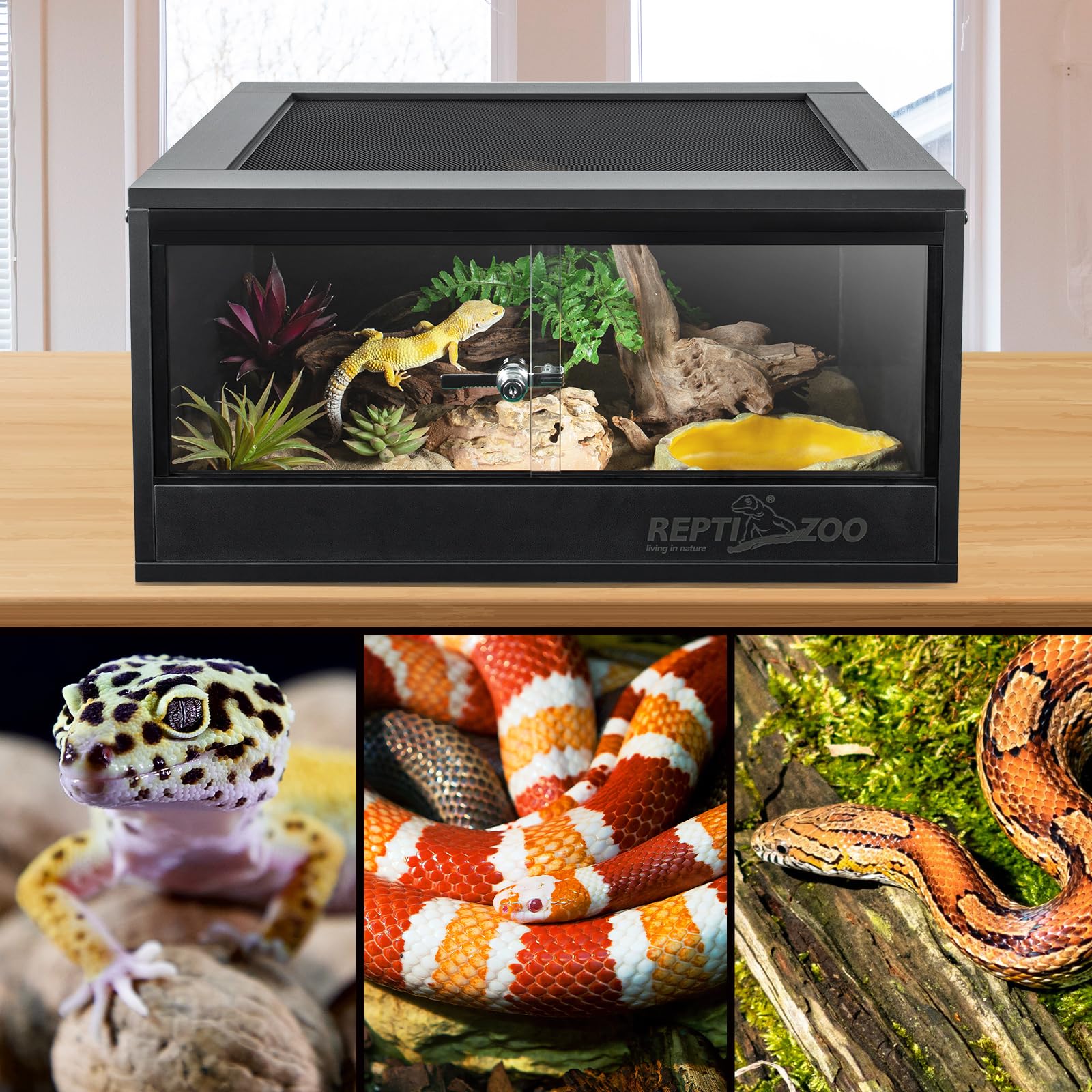 REPTI ZOO 20-gallon PVC terrarium insulation closeup for temperature stability