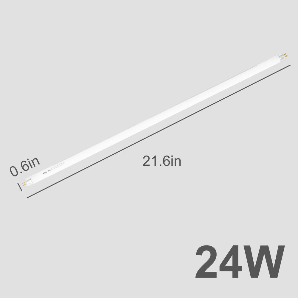 REPTI ZOO UVB bulb in enclosure supports activity and vitality.