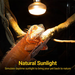 REPTI ZOO 2-pack bulb with UVA supports healthy activity in terrariums.