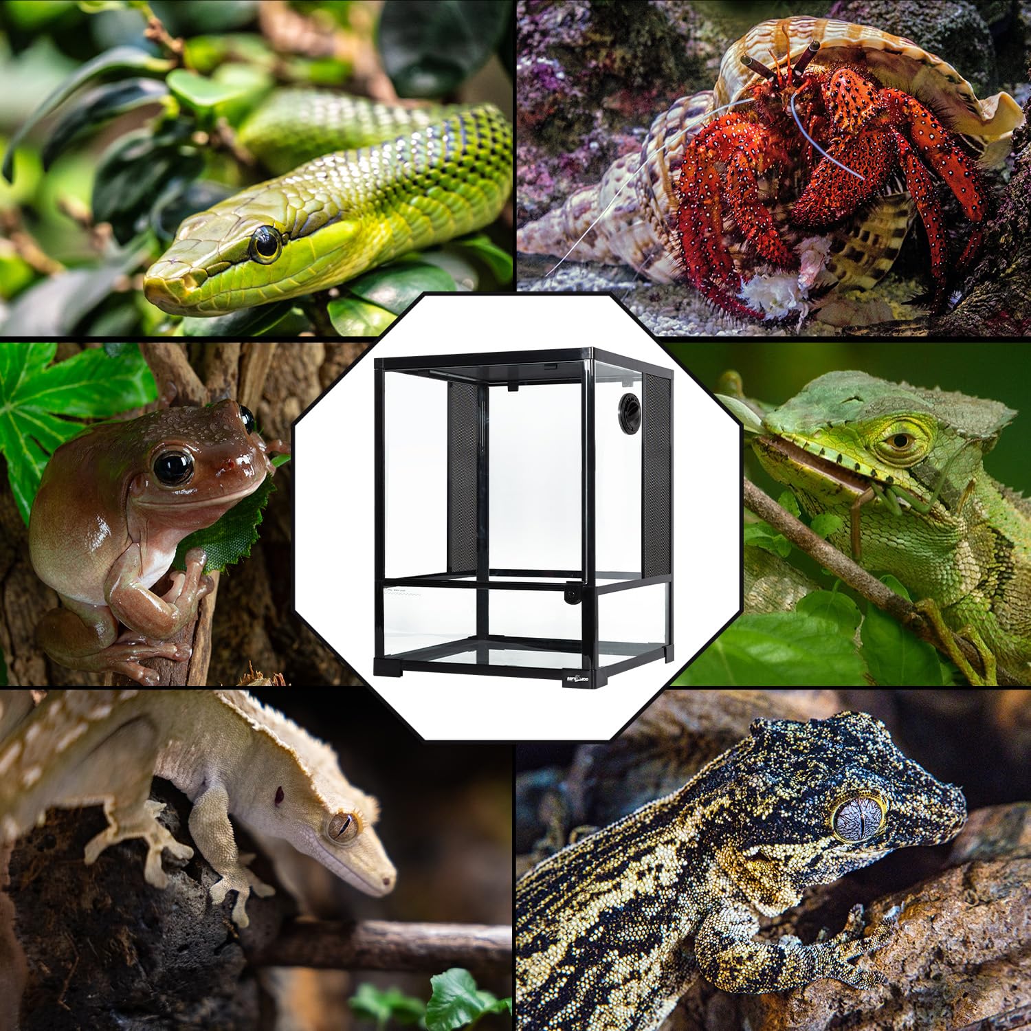 REPTI ZOO 30-gallon rainforest habitat tank offers clear view for monitoring pets.