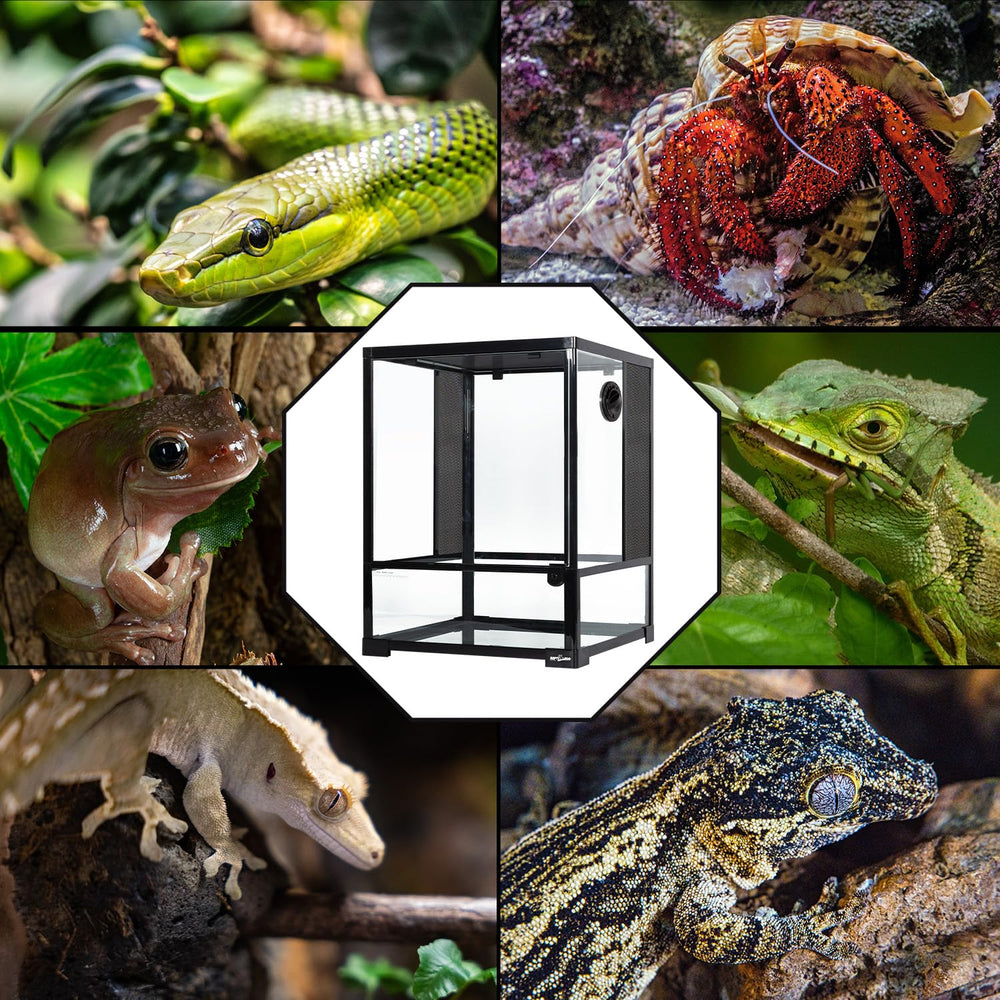 REPTI ZOO 30-gallon rainforest habitat tank offers clear view for monitoring pets.