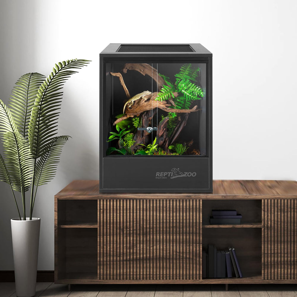 REPTI ZOO 30 Gal Tall Tank with inhabitants illustrates versatile rainforest enclosure.