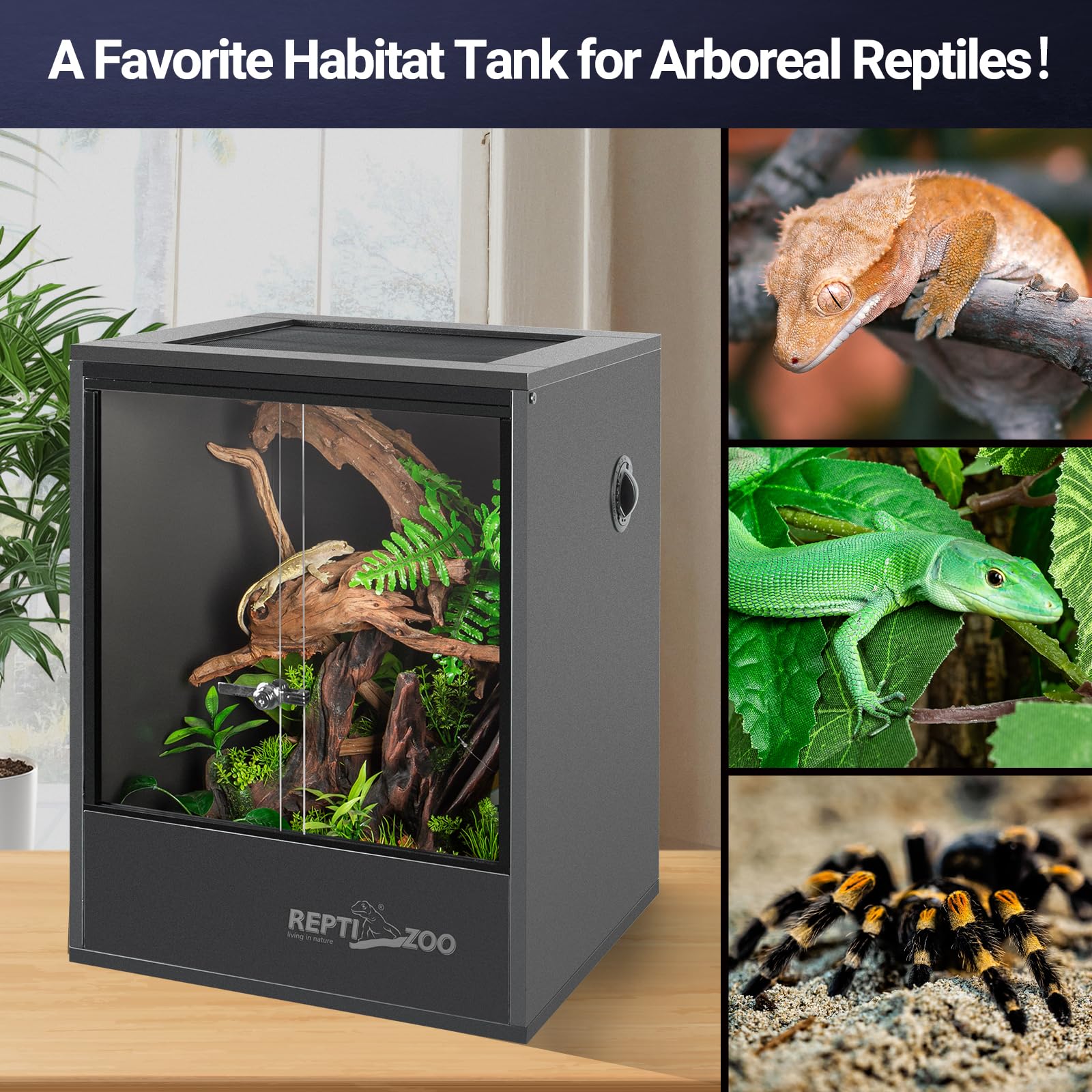 REPTI ZOO 30 Gal Tall Tank interior space shows vertical habitat area.