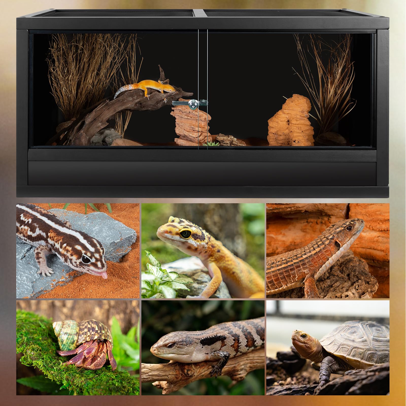 REPTI ZOO 50 gallon wooden tank detachable doors for secure access