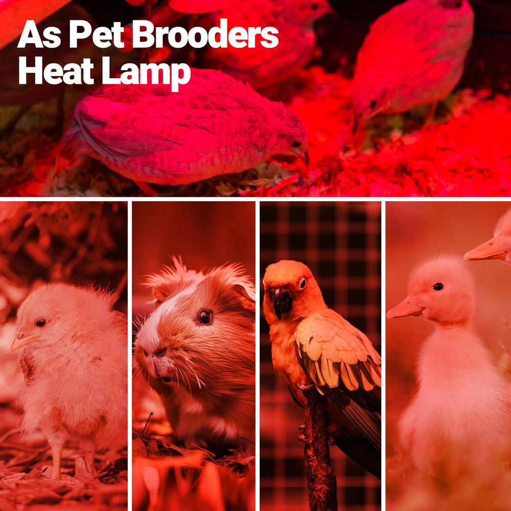 REPTI ZOO 50W bulb energy-efficient heat source for cost-conscious owners.