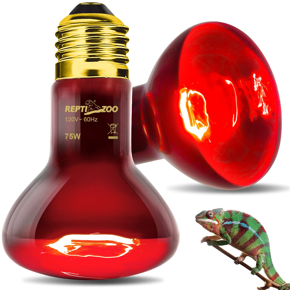 REPTI ZOO 75W lamp in terrarium helps maintain day/night temperature balance.