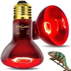 REPTI ZOO 75W lamp in terrarium helps maintain day/night temperature balance.
