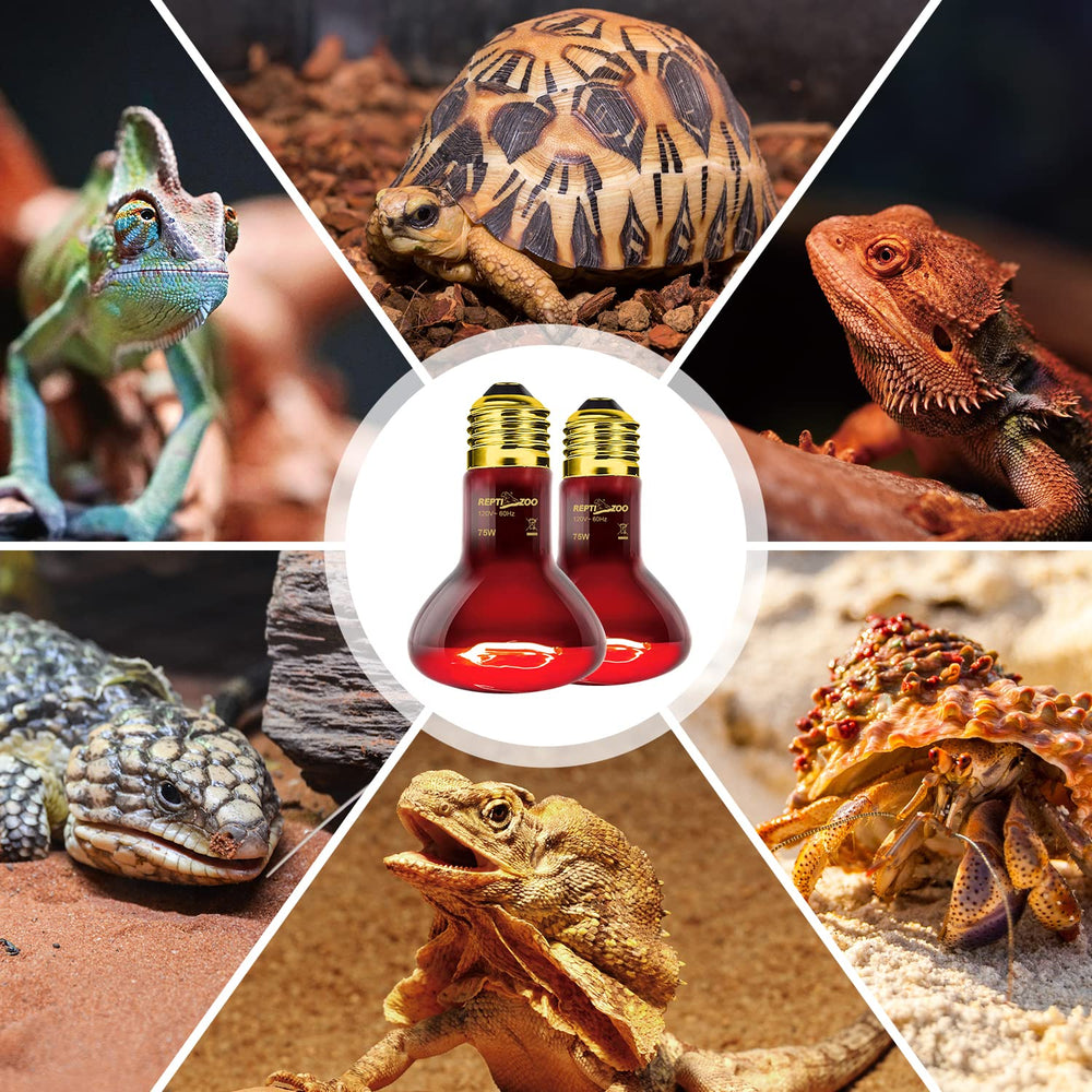 REPTI ZOO 75W long-life lamp demonstrates up to 3000-hour lifespan.