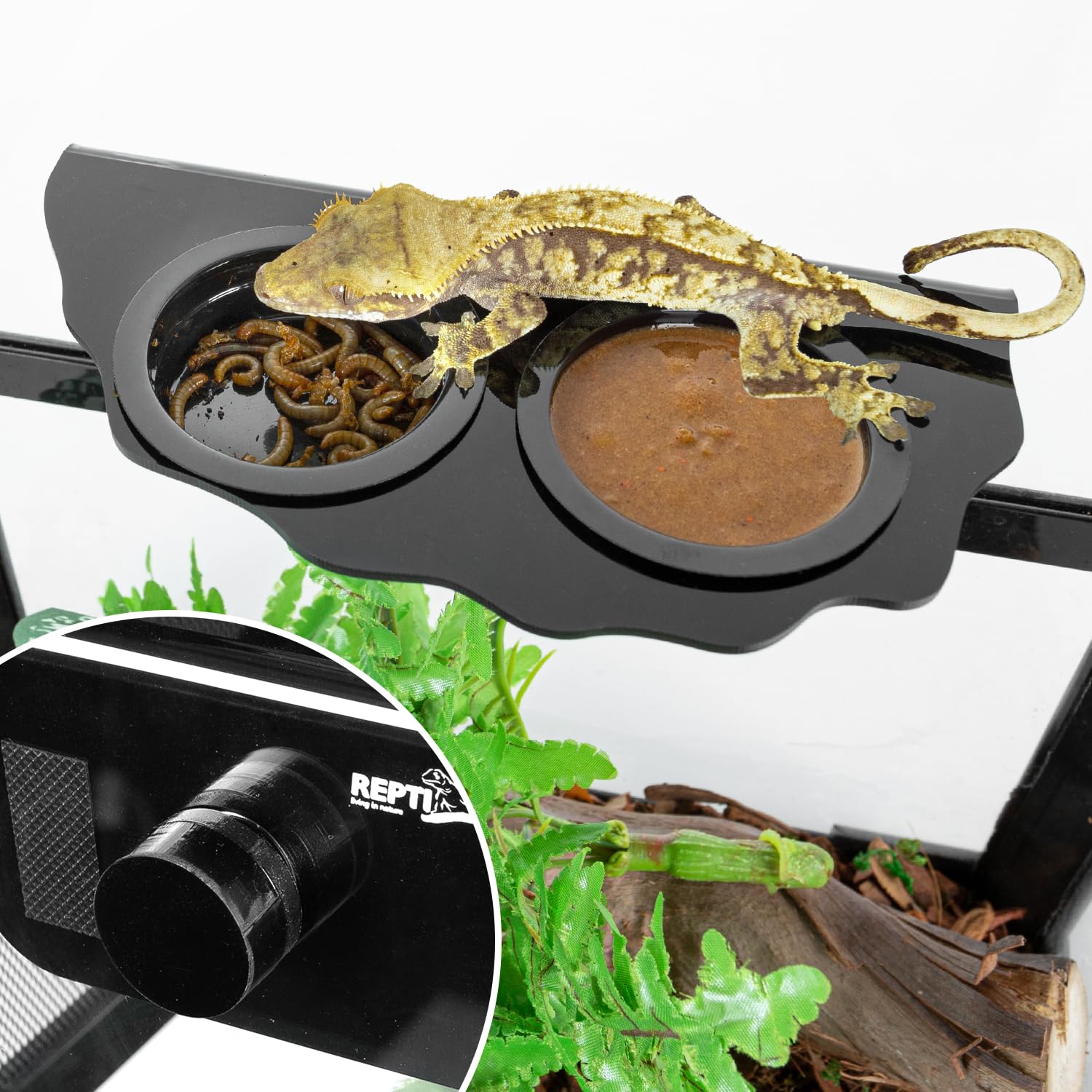 REPTI ZOO acrylic gecko feeding ledge provides a clear durable surface