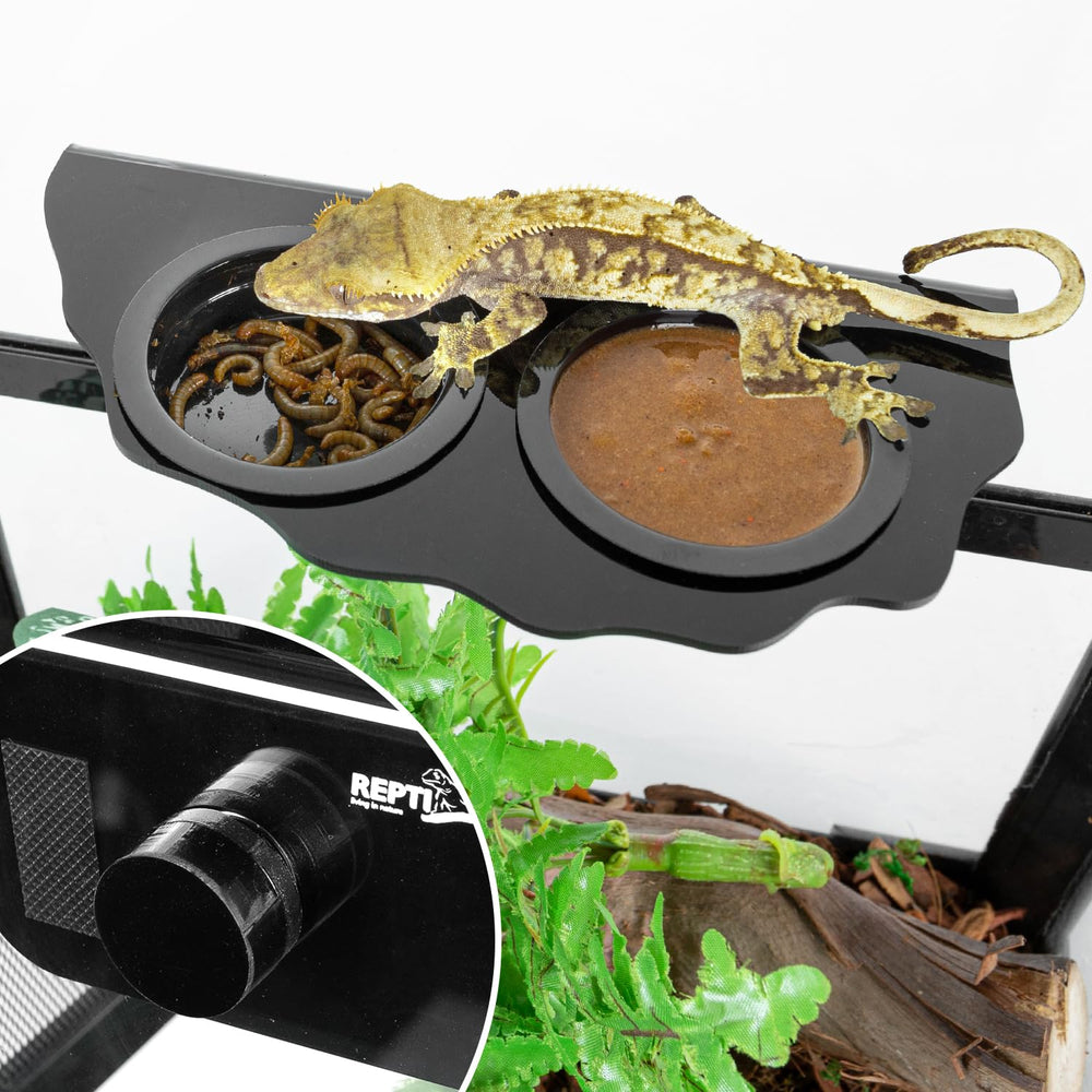 REPTI ZOO acrylic gecko feeding ledge provides a clear durable surface