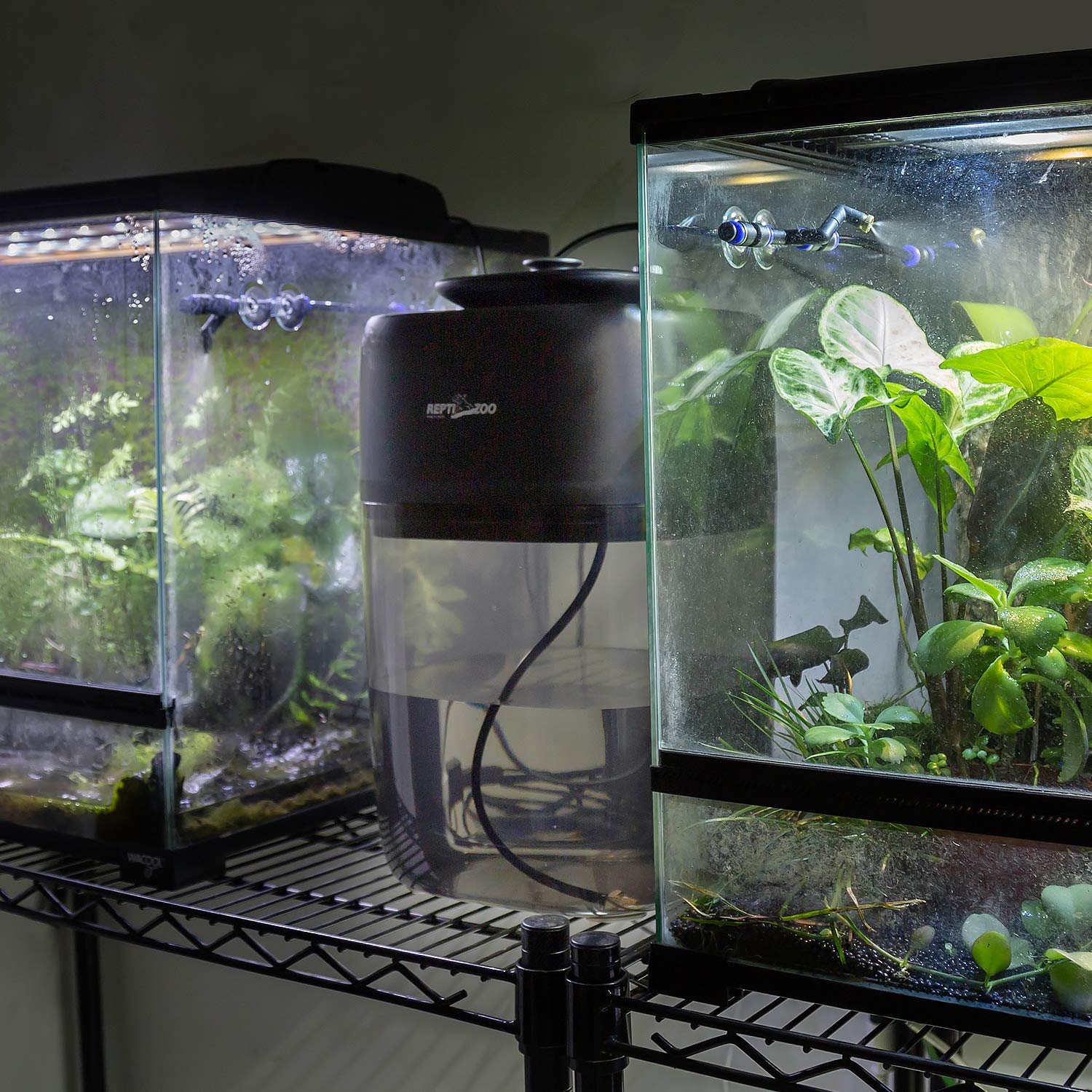 REPTI ZOO adjustable rainfall flow for precise humidity