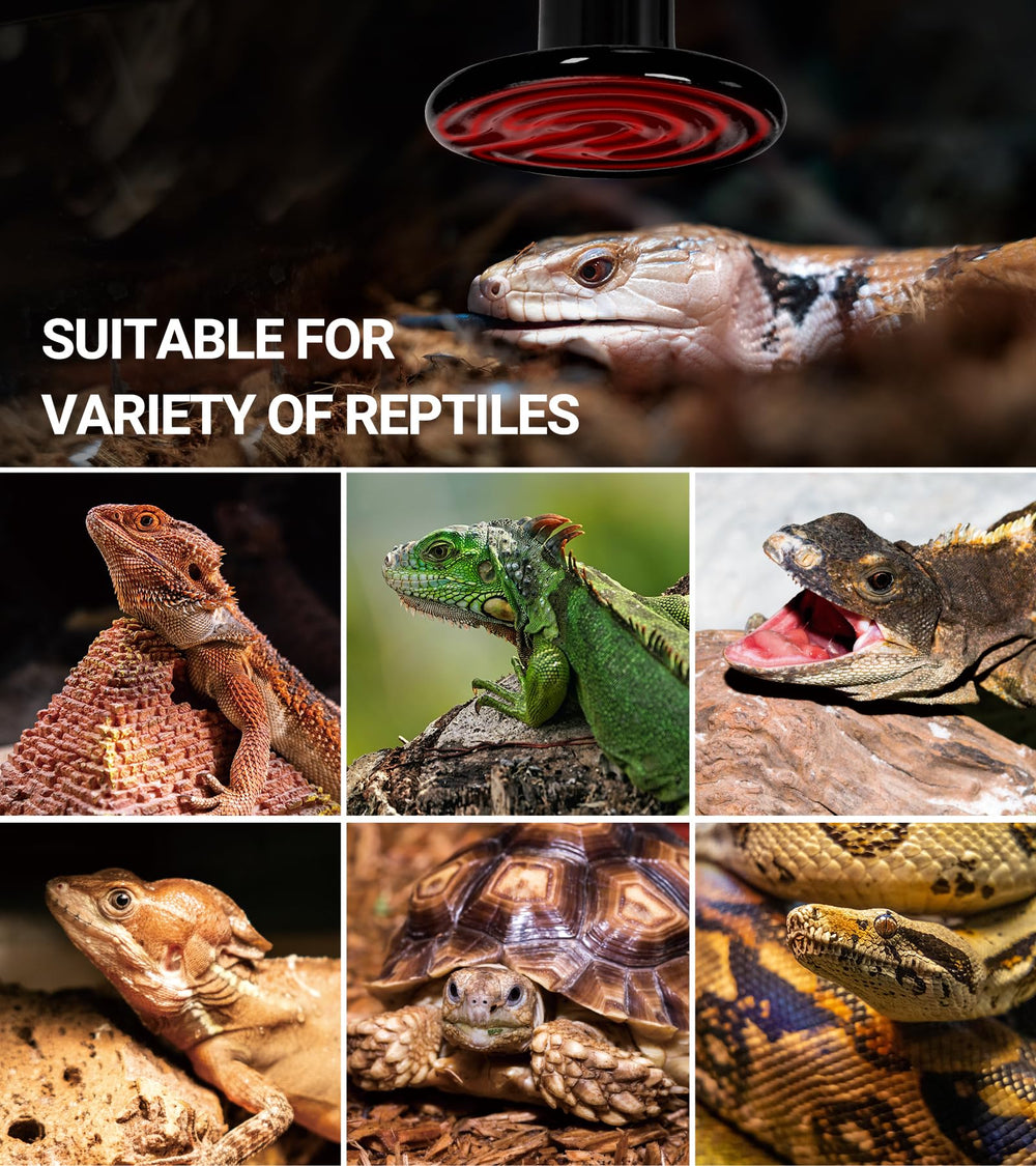 REPTI ZOO crack-resistant design endures humid enclosure conditions