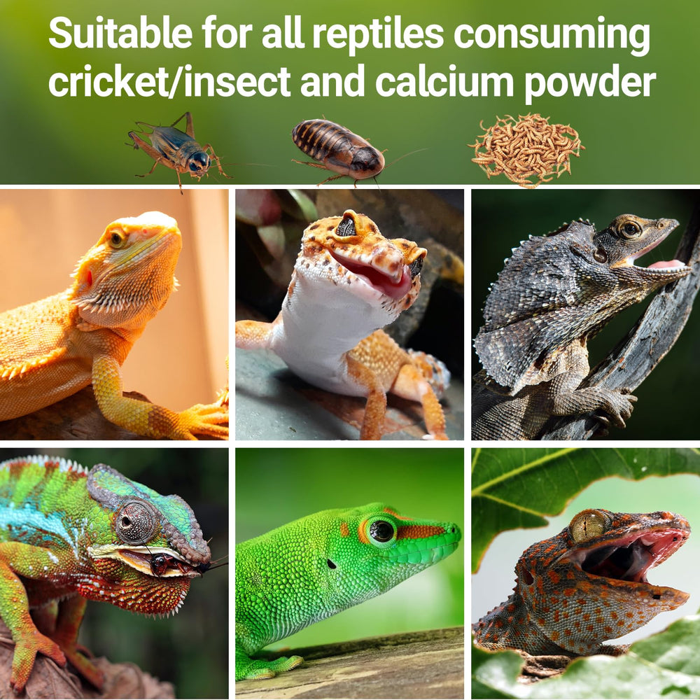 REPTI ZOO handheld design enables quick, easy feeding sessions