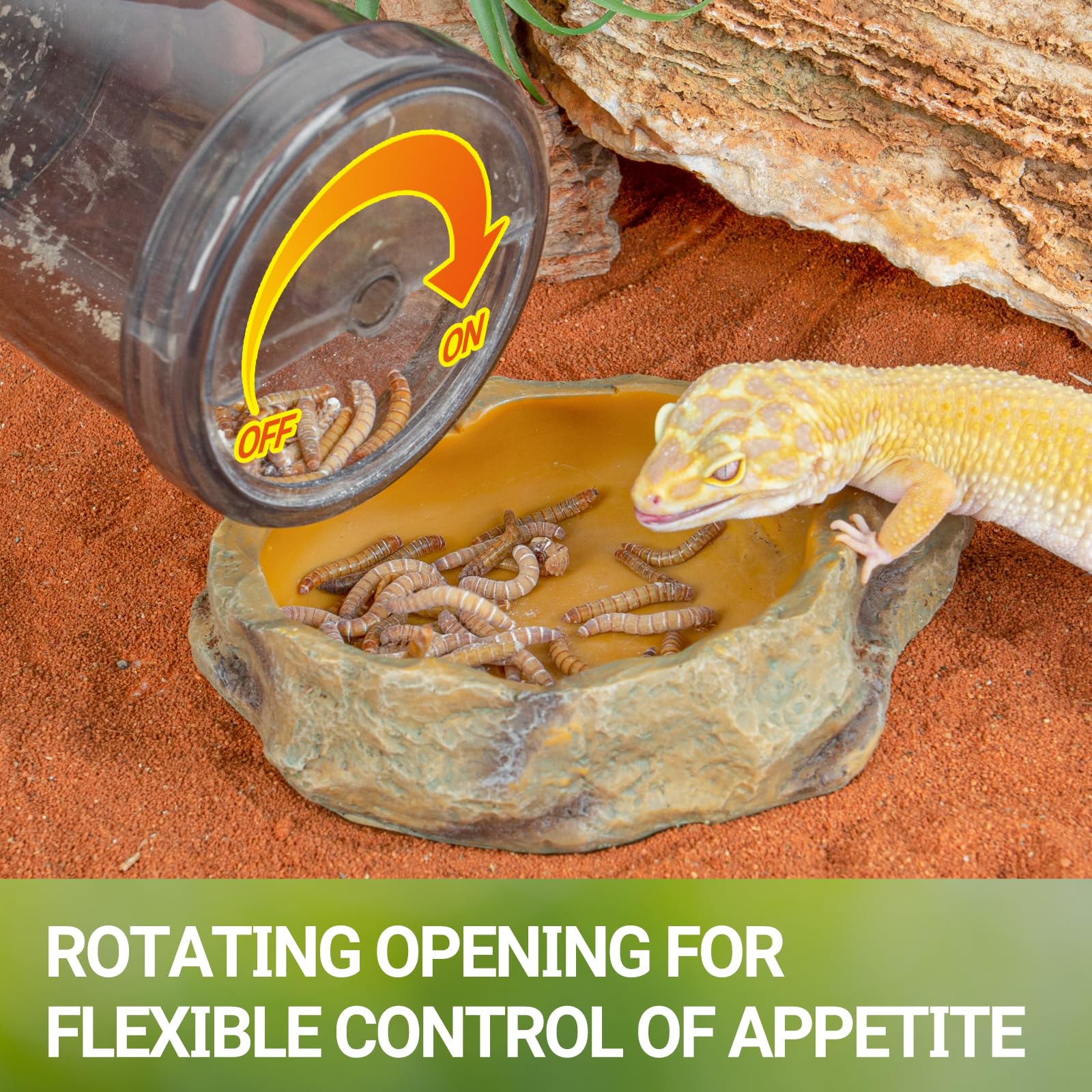 REPTI ZOO transparent container shows easy monitoring during feeding