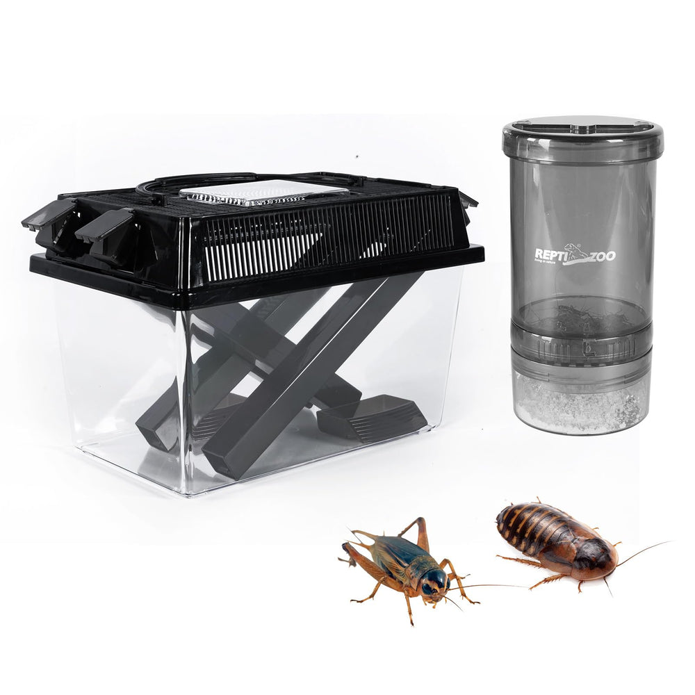 REPTI ZOO cricket-keeper acrylic for easy cricket monitoring