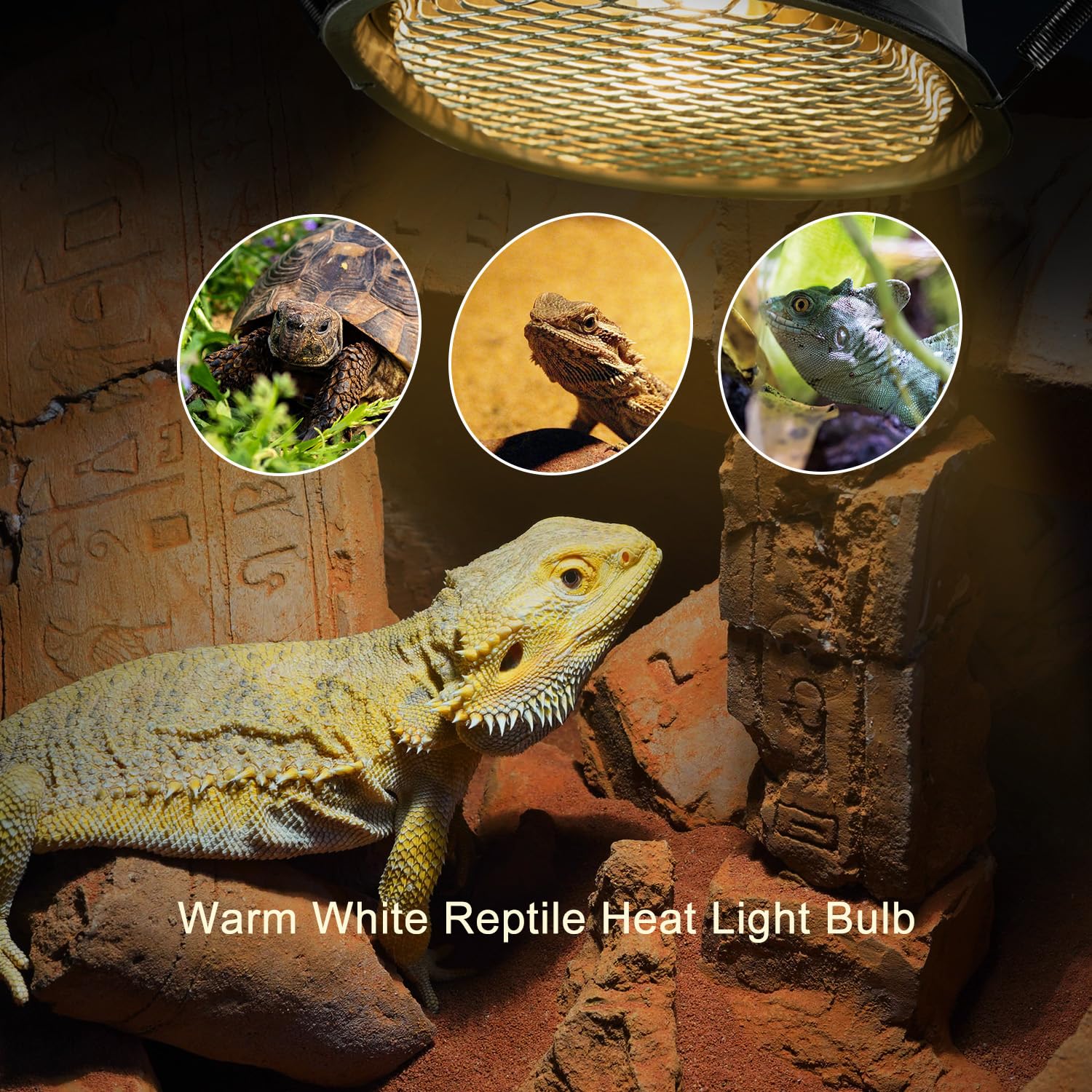 REPTI ZOO G9 mini UVA light supports natural reptile activity and warmth.