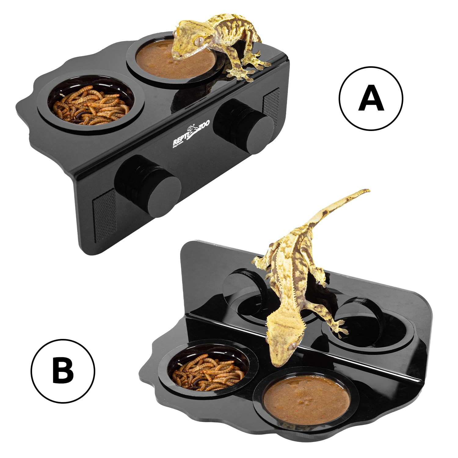 REPTI ZOO cups measure about 1.9 inches for compact servings