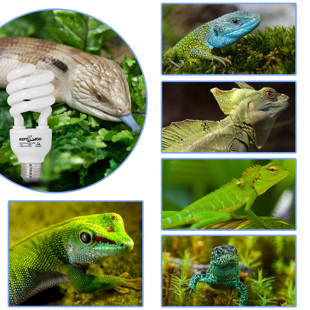 REPTI ZOO E26 socket UVB bulb enables easy installation in standard fixtures