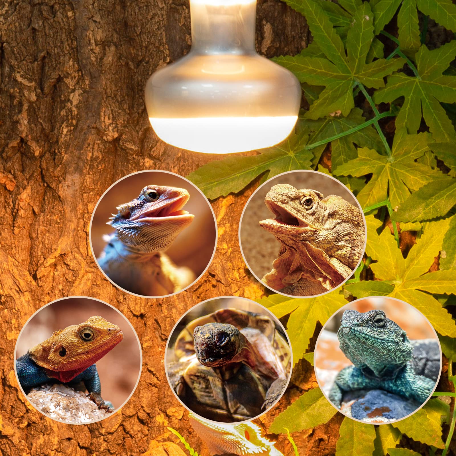 REPTI ZOO 75W heat lamp with E26 socket for easy installation and reliable warmth
