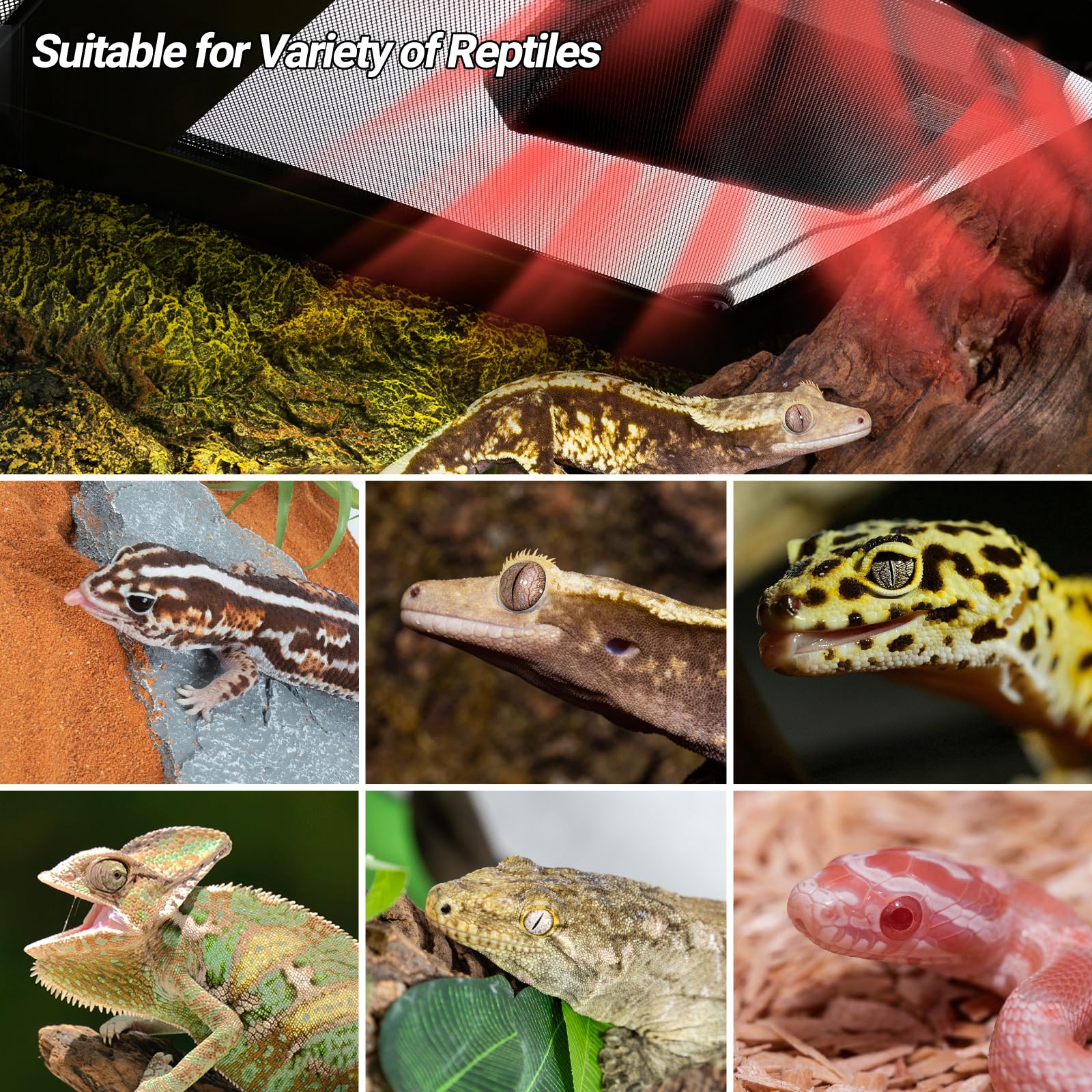 REPTI ZOO heat panel easy setup for quick habitat warmth