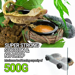 REPTI ZOO hollow vine food dish assembly showing natural trellis aesthetic.