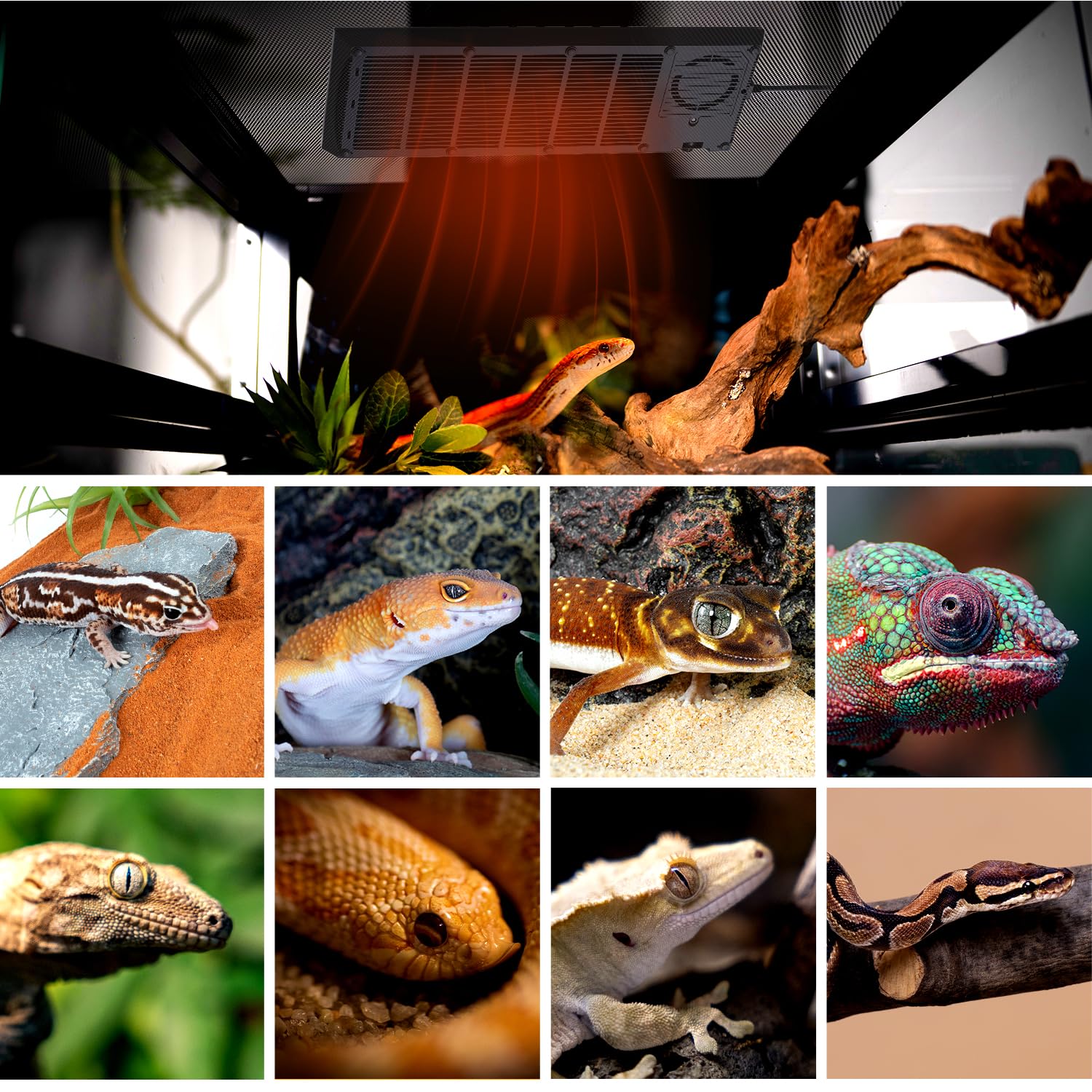 REPTI ZOO heat panel designed for larger terrariums and energy-efficient warmth.