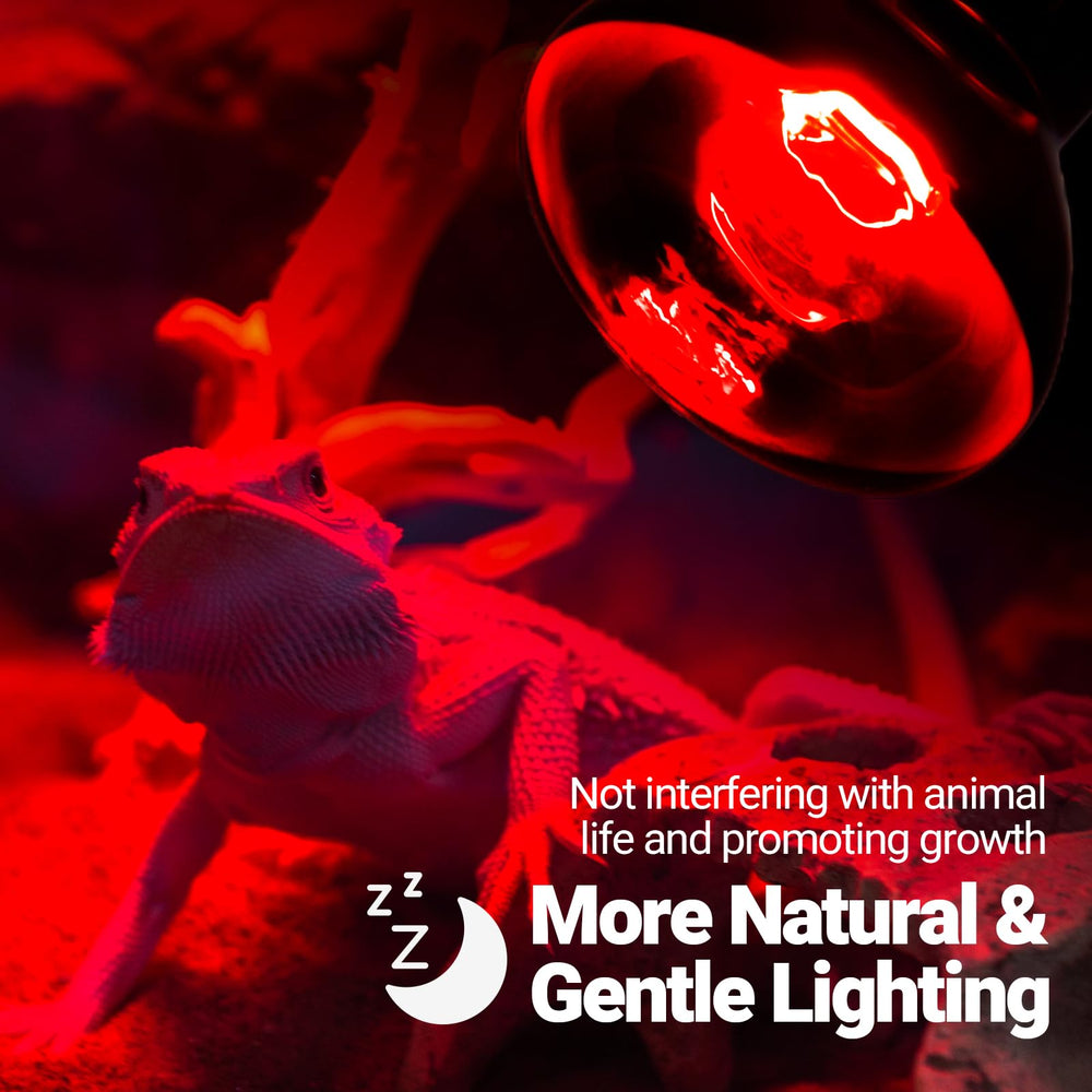 REPTI ZOO lizard thermoregulation under infrared glow