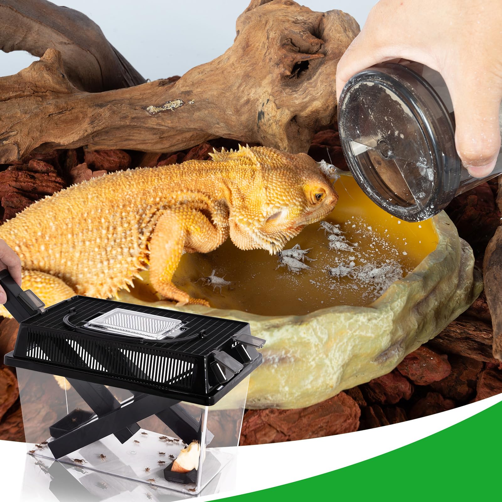 REPTI ZOO multi-use-feeder supports bearded dragons, geckos, and snakes
