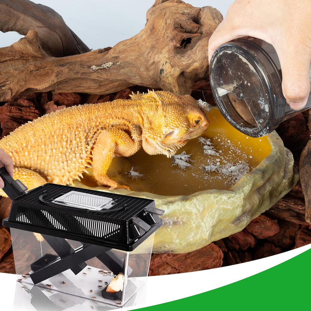 REPTI ZOO multi-use-feeder supports bearded dragons, geckos, and snakes