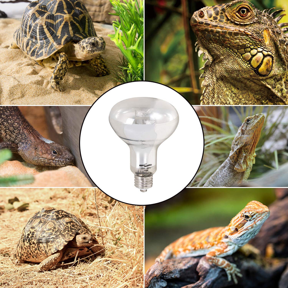 REPTI ZOO package includes 1 x 100W lamp