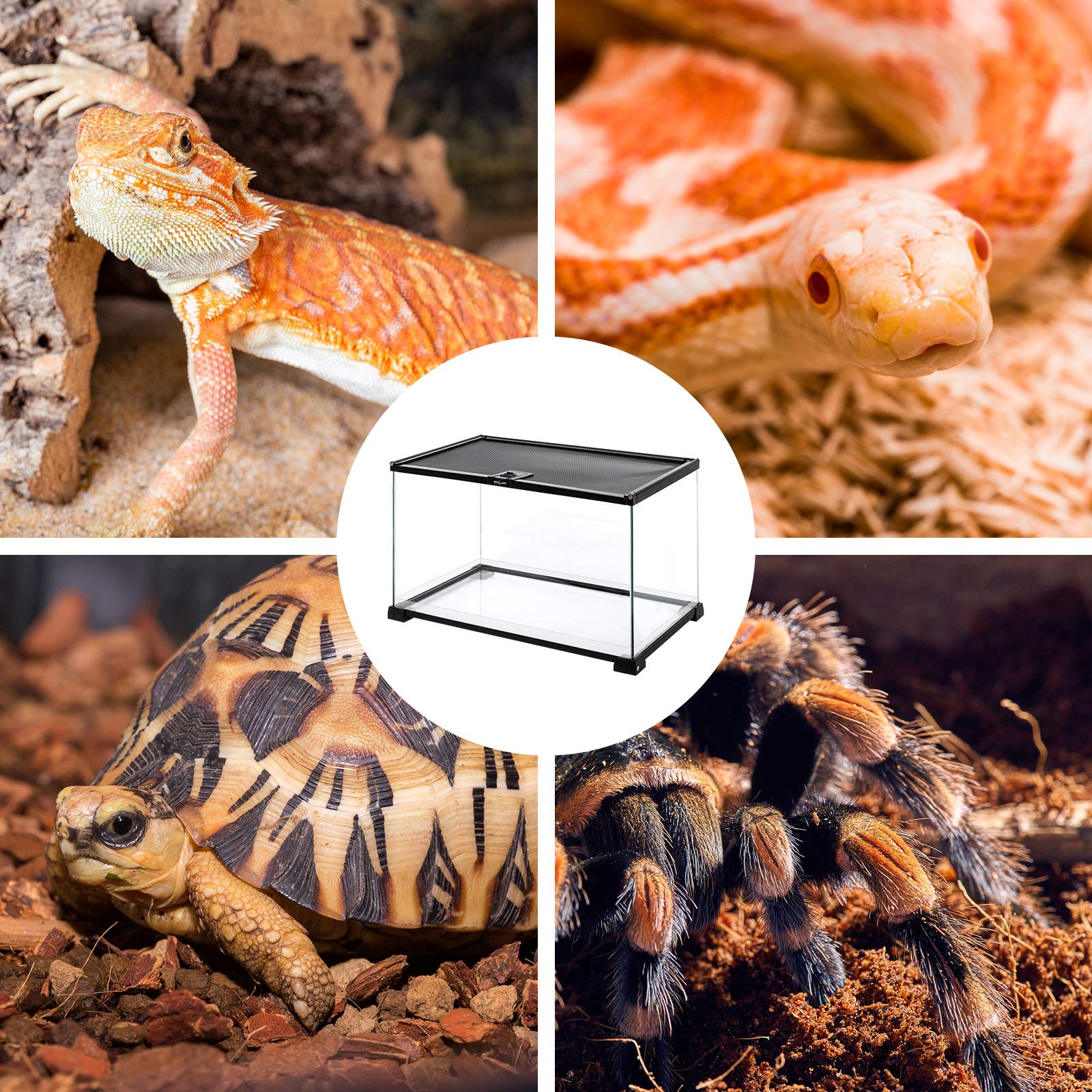 REPTI ZOO packaging ensures safe arrival with protective foam and box