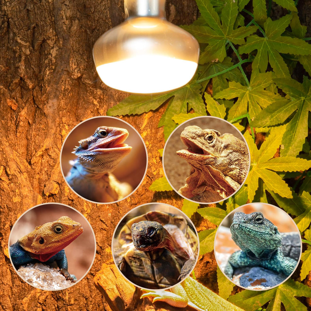 REPTI ZOO bulbs pass safety tests for reliable performance.