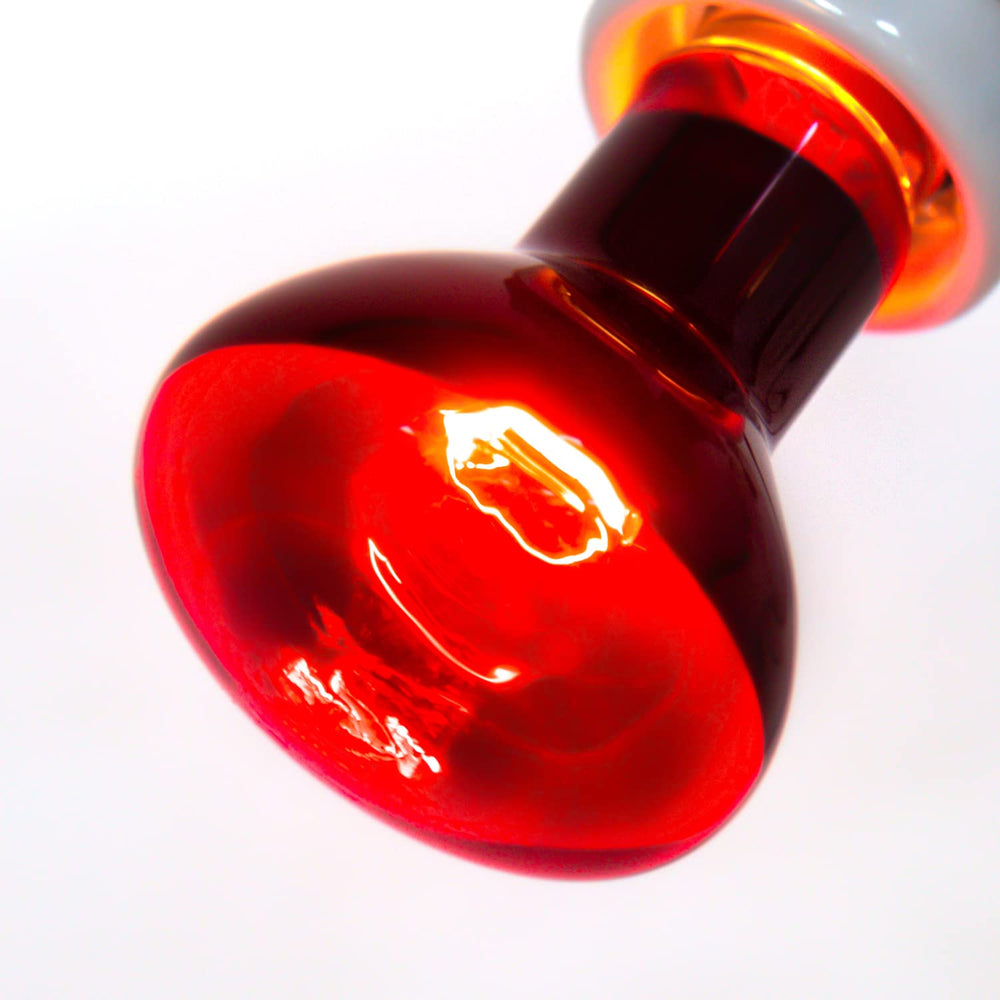 REPTI ZOO reptile heat lamp in enclosure maintains consistent heat distribution.