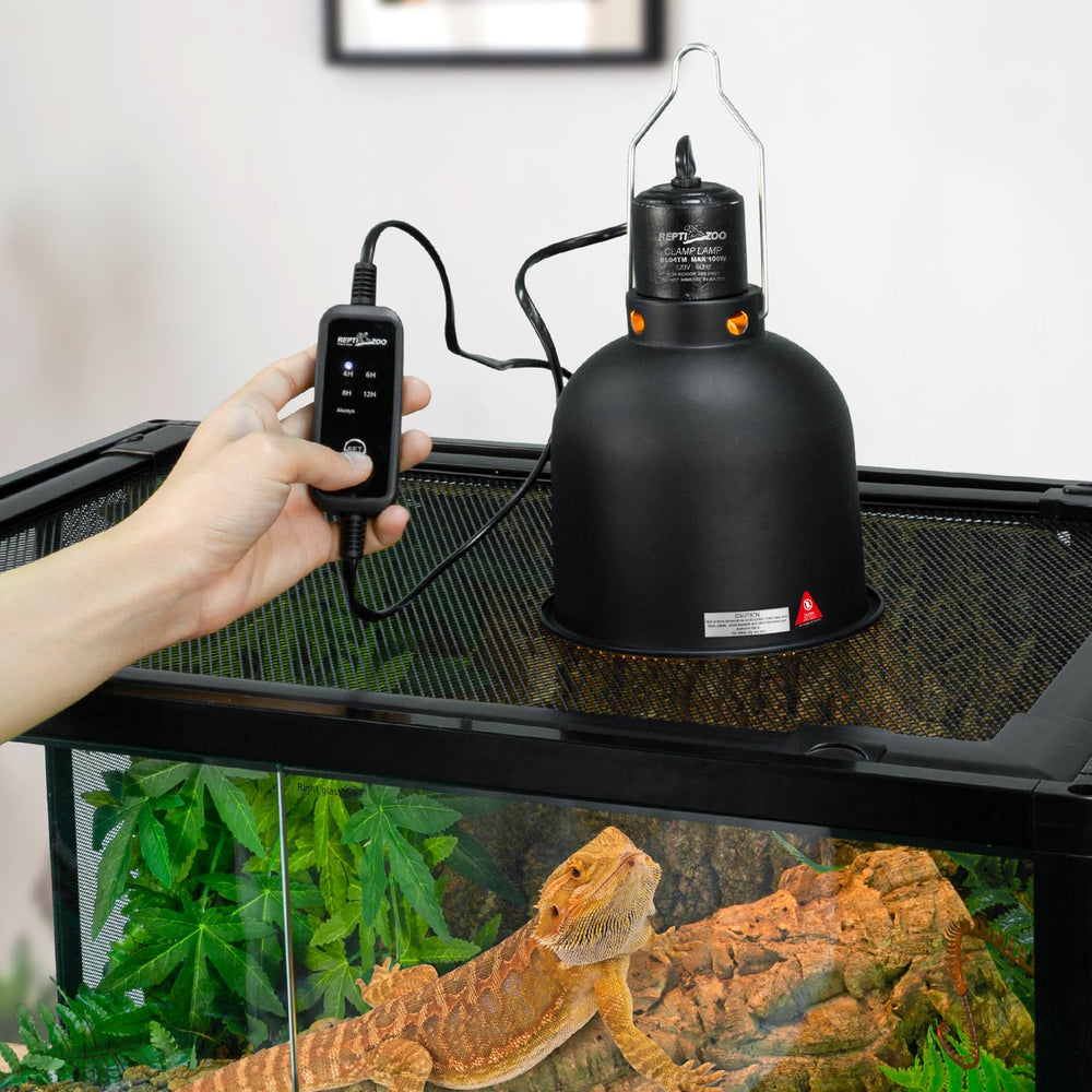 REPTI ZOO E26 ceramic socket setup enabling quick timer configuration.