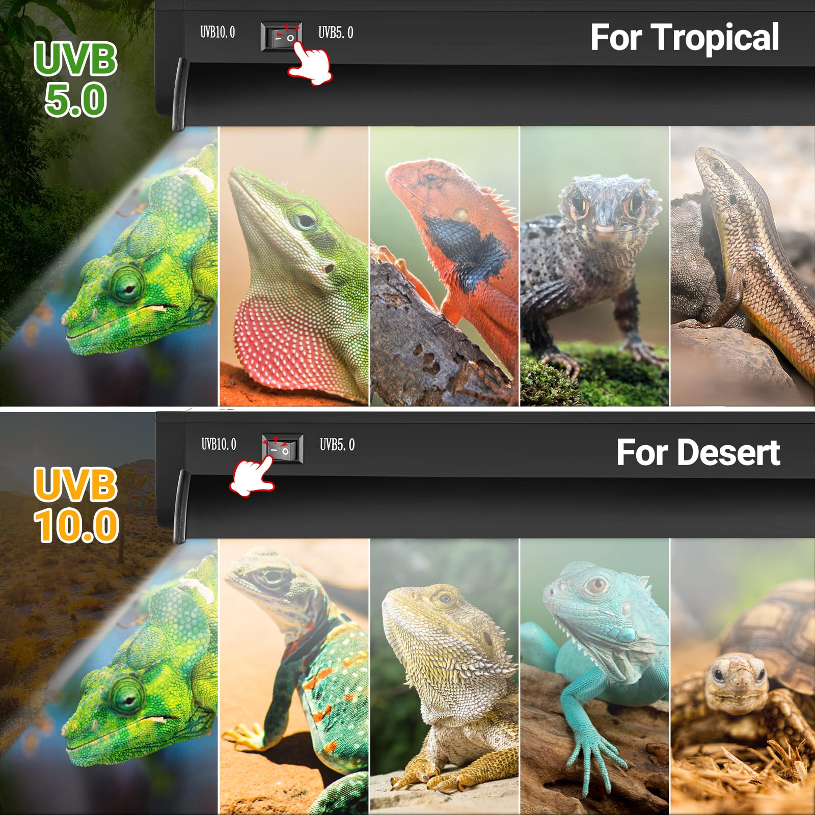 REPTI ZOO switchable UVB light tropical mode for tropical reptile setups