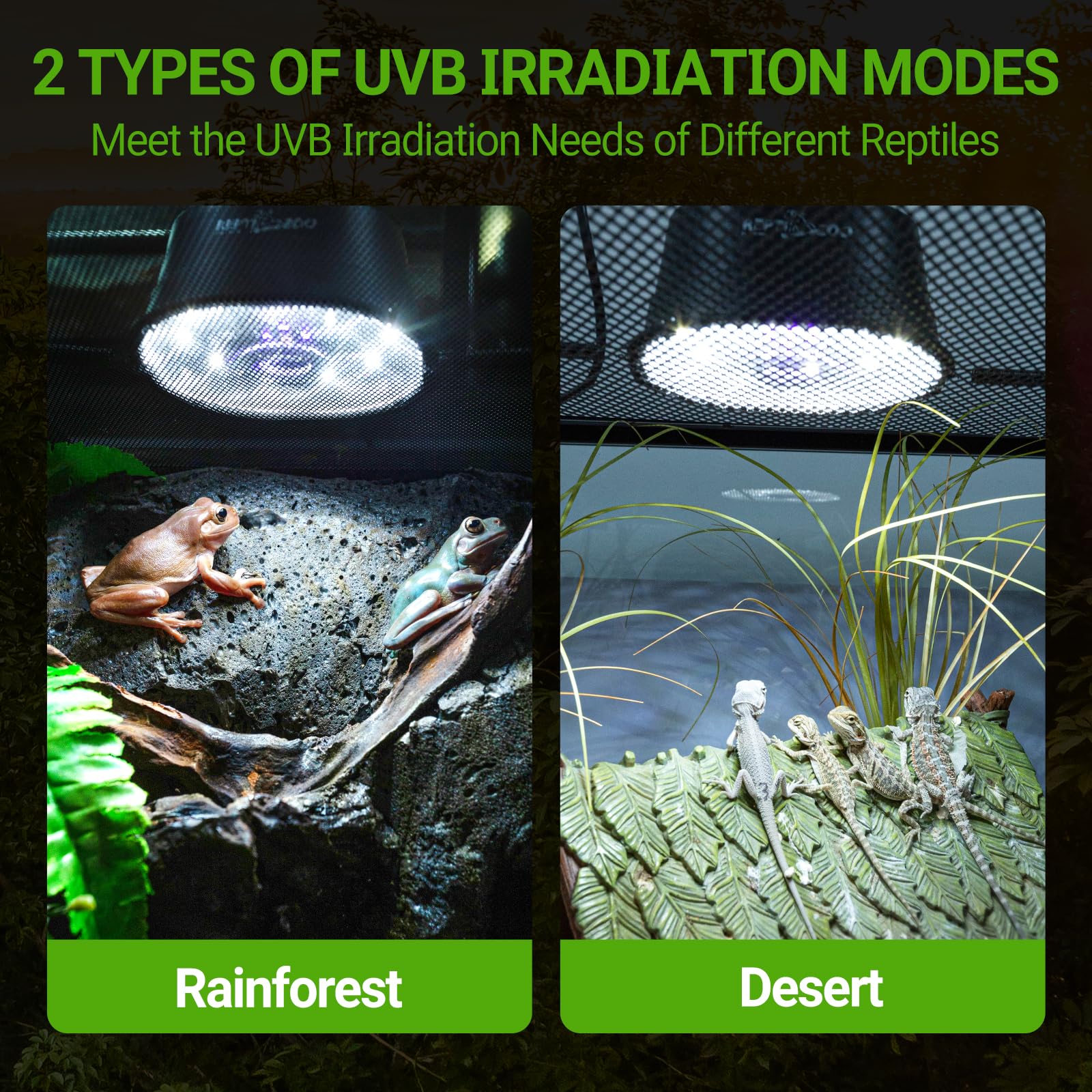 REPTI ZOO UVB light brightness-dial closeup showing dimming control