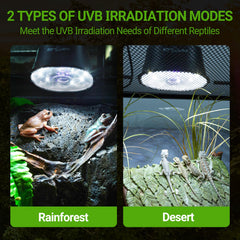 REPTI ZOO UVB light brightness-dial closeup showing dimming control