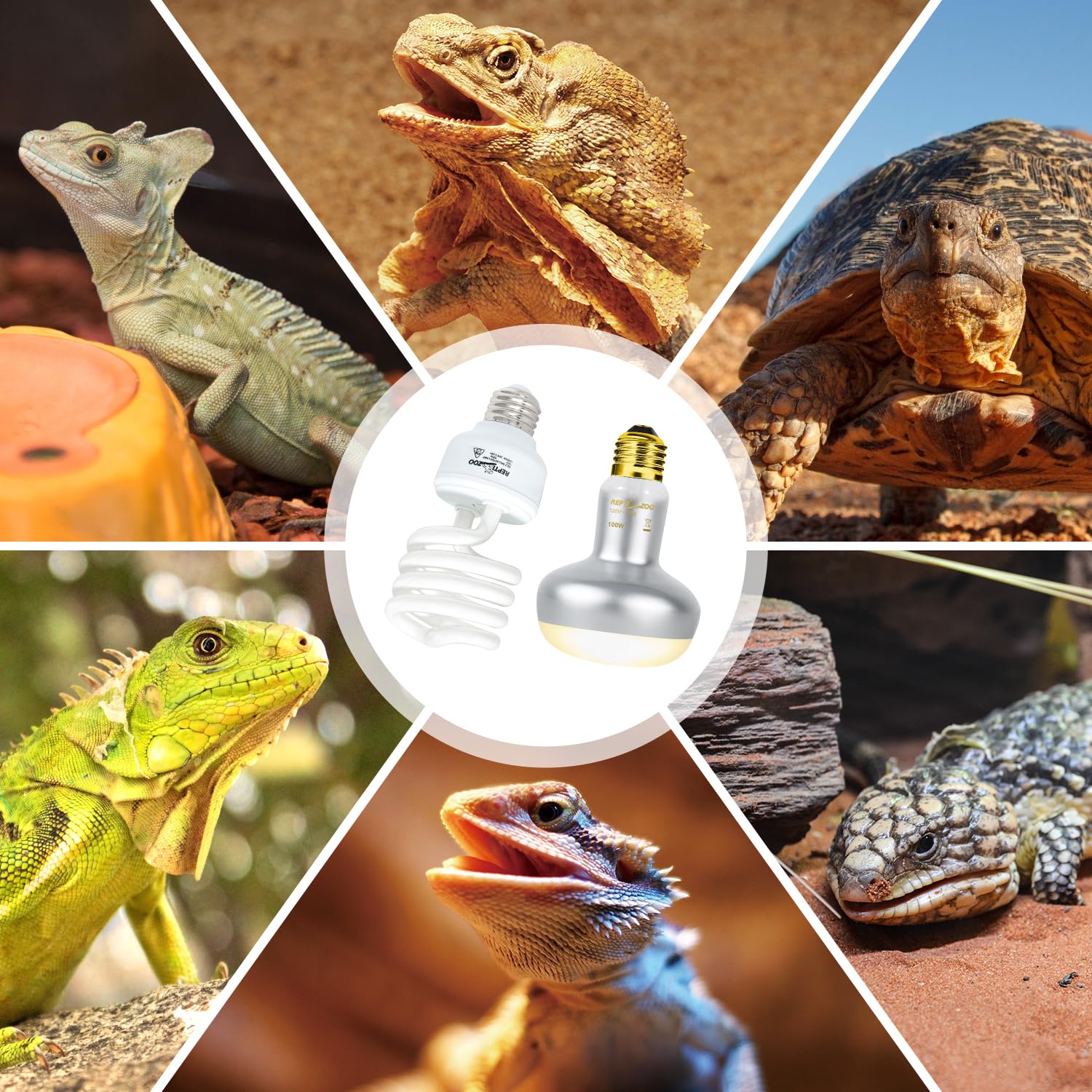 REPTI ZOO value combo pack enabling complete terrarium lighting.