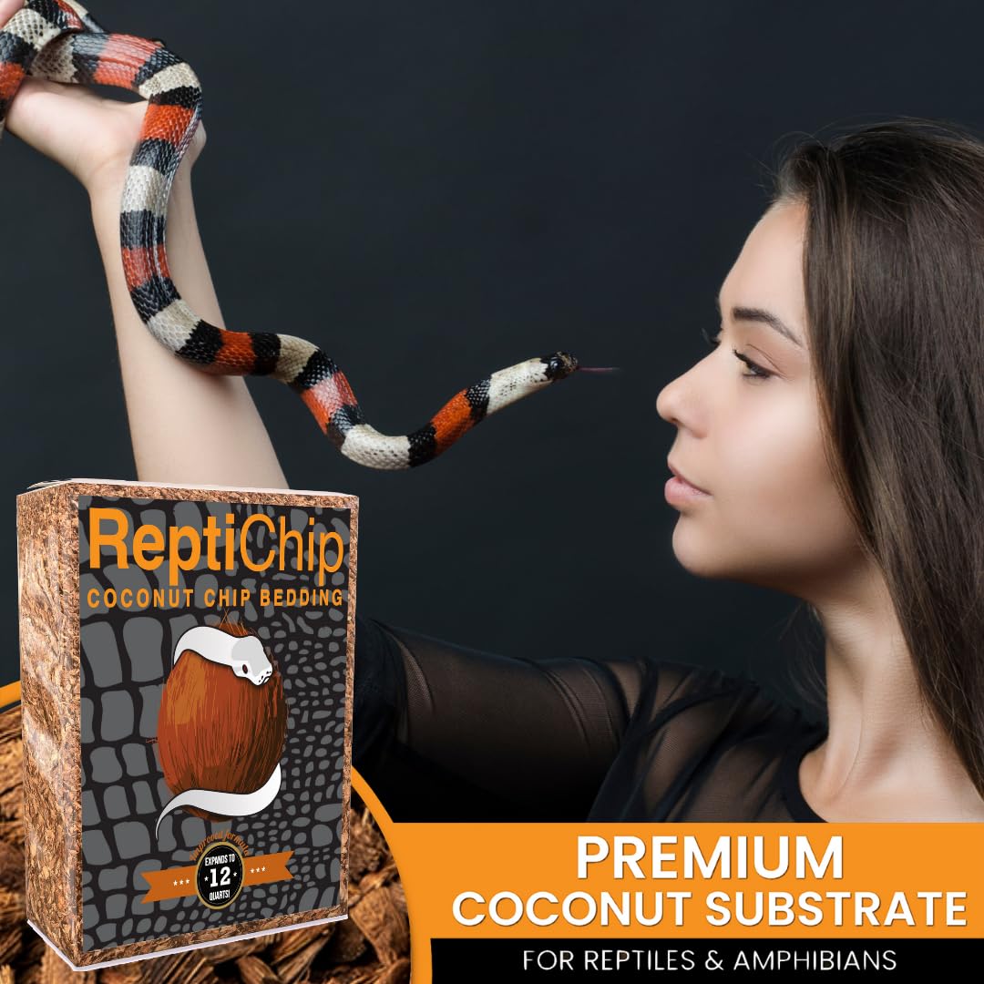 ReptiChip ball python terrarium scene highlights clean, ready-to-use substrate.